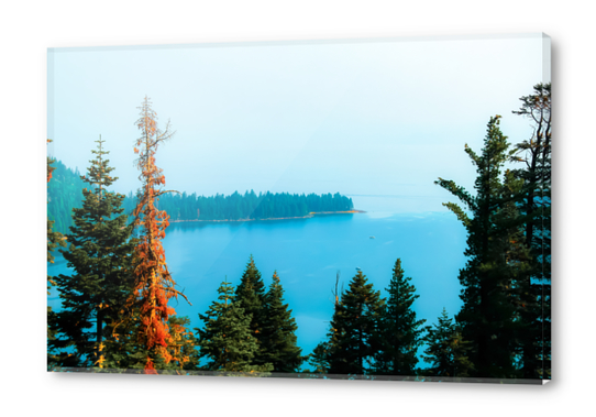 lake and pine tree at Emerald Bay state park, Lake Tahoe, California, USA Acrylic prints by Timmy333