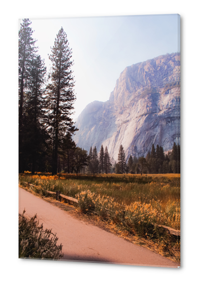 pine tree and mountain at Yosemite national park California USA Acrylic prints by Timmy333