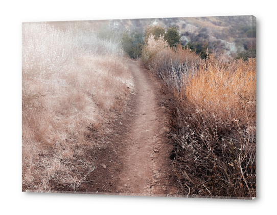 walkway on the mountain with dry grass field Acrylic prints by Timmy333