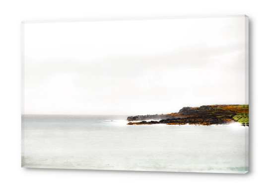 foggy and calm beach view at Kauai, Hawaii, USA Acrylic prints by Timmy333