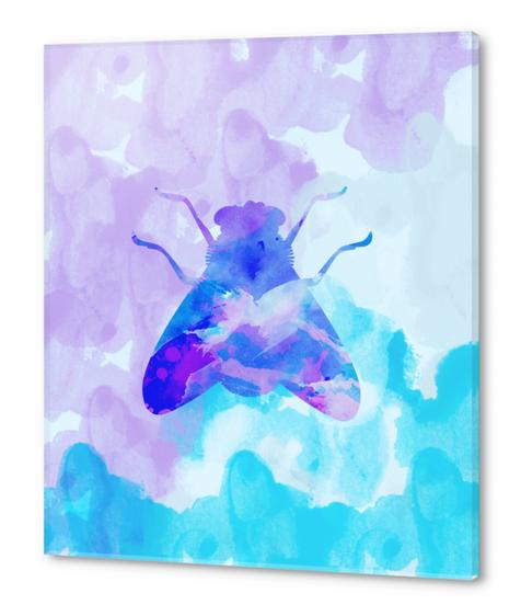 Abstract Fly Acrylic prints by Amir Faysal