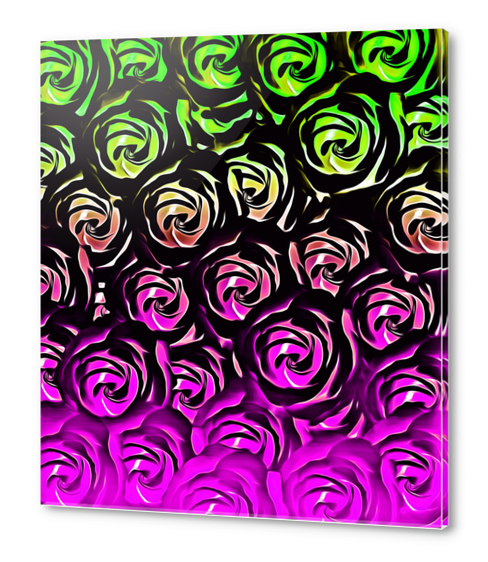 rose pattern texture abstract background in green and pink Acrylic prints by Timmy333