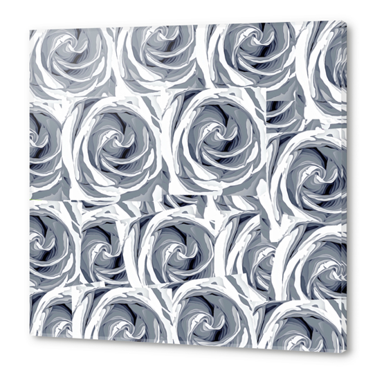 closeup white rose texture pattern abstract background Acrylic prints by Timmy333