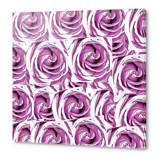 closeup pink rose texture pattern abstract background Acrylic prints by Timmy333