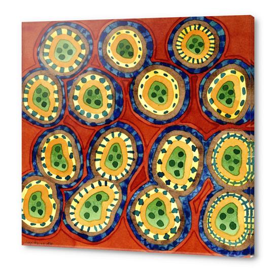 Folcloristic Ringed Circles Pattern  Acrylic prints by Heidi Capitaine