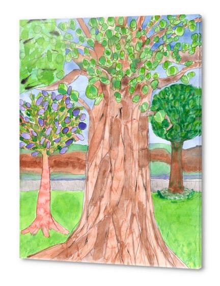 The majestic Tree  Acrylic prints by Heidi Capitaine