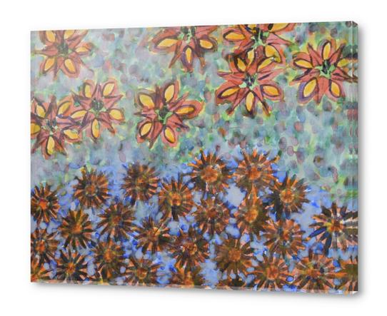 Asters and Paradise Flowers Acrylic prints by Heidi Capitaine