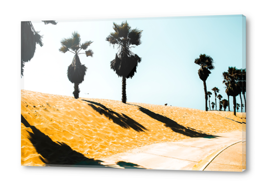 palm tree and summer sandy beach at Oxnard Beach, California, USA Acrylic prints by Timmy333