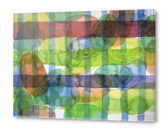 Ovals and Checks Acrylic prints by Heidi Capitaine