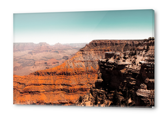 Desert scenery in summer at Grand Canyon national park USA Acrylic prints by Timmy333