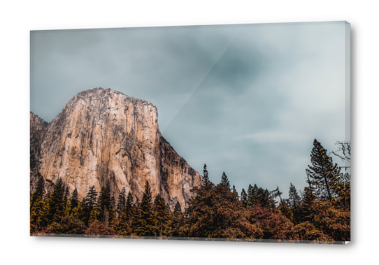 mountain and pine tree at Yosemite national park California USA Acrylic prints by Timmy333