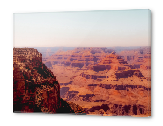 Desert in summer at Grand Canyon national park Arizona USA Acrylic prints by Timmy333