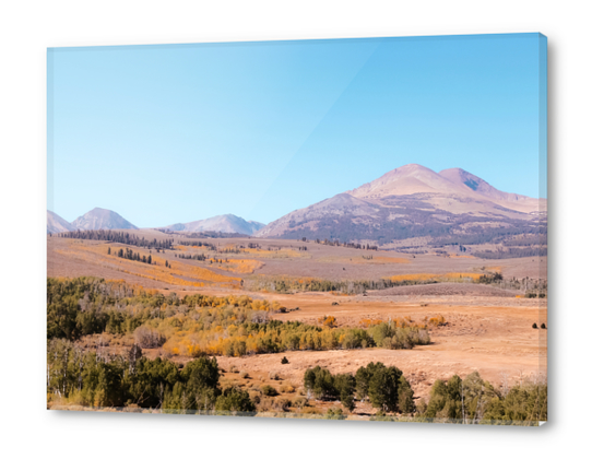 autumn tree with mountain view in California USA Acrylic prints by Timmy333