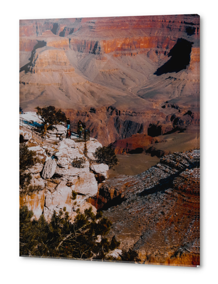 Desert scenic at Grand Canyon national park, Arizona, USA Acrylic prints by Timmy333