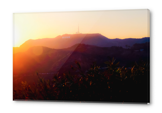 Summer sunset light at Hollywood Sign Los Angeles California USA Acrylic prints by Timmy333