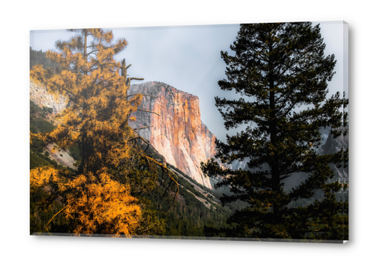 Mountains with autumn tree Yosemite national park, California, USA Acrylic prints by Timmy333