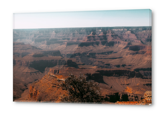 Desert layer at Grand Canyon national park USA Acrylic prints by Timmy333