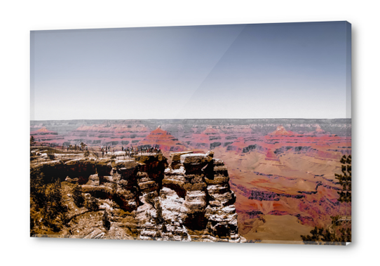 Desert landscape at Grand Canyon national park, Arizona, USA Acrylic prints by Timmy333