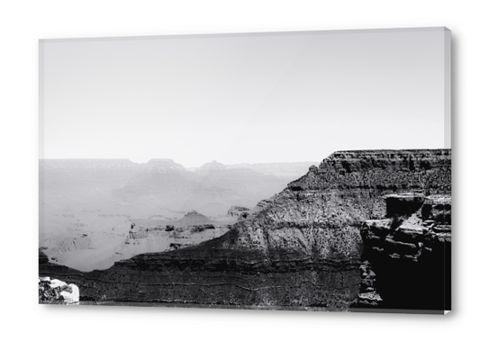 Desert at Grand Canyon national park Arizona USA in black and white Acrylic prints by Timmy333