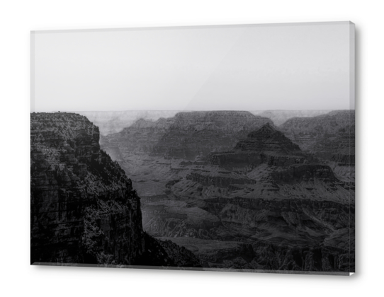 Desert in summer at Grand Canyon national park Arizona USA in black and white Acrylic prints by Timmy333