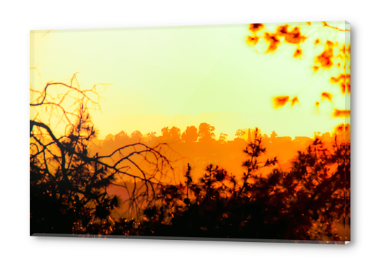 sunset sky in summer with silhouette view at Los Angeles, USA Acrylic prints by Timmy333