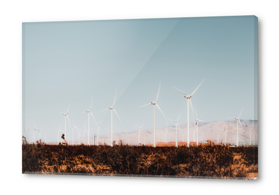 Wind turbine in the desert with summer blue sky at Kern County California USA Acrylic prints by Timmy333