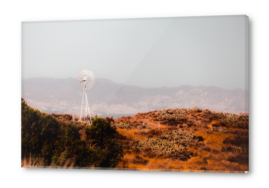 windmill and green cactus garden with mountain view and blue sky Acrylic prints by Timmy333