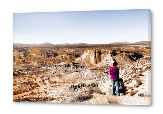 Desert landscape at Red Rock Canyon State Park California USA Acrylic prints by Timmy333