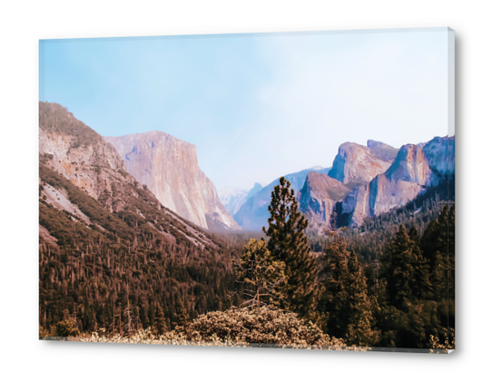 At Yosemite national park USA Acrylic prints by Timmy333