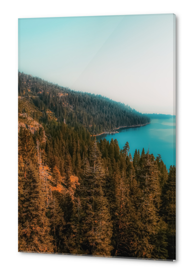 pine tree and lake at Emerald Bay Lake Tahoe California USA Acrylic prints by Timmy333