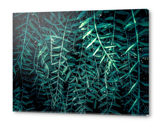 green leaf texture abstract background Acrylic prints by Timmy333