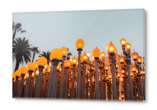 Urban Light at LACMA Los Angeles California USA Acrylic prints by Timmy333