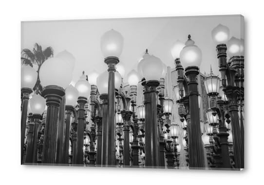 Urban Light at LACMA Los Angeles California USA in black and white Acrylic prints by Timmy333