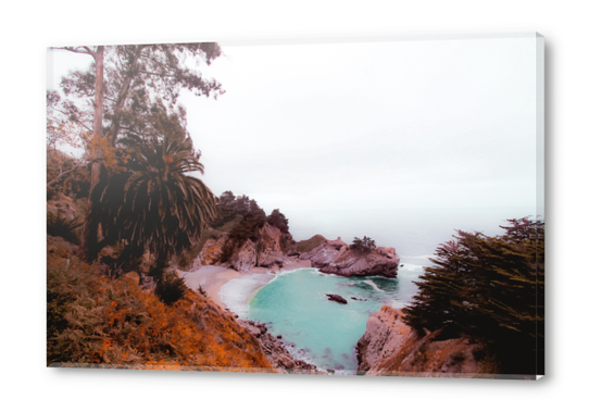 waterfall with beach view at Mcway Falls, Big Sur, Highway 1, California, USA Acrylic prints by Timmy333