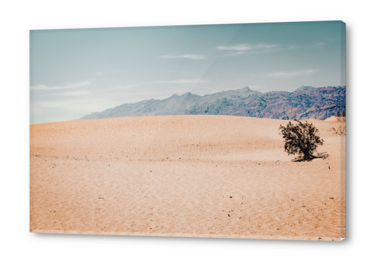 Sand desert and mountain view at Death Valley national park California USA Acrylic prints by Timmy333