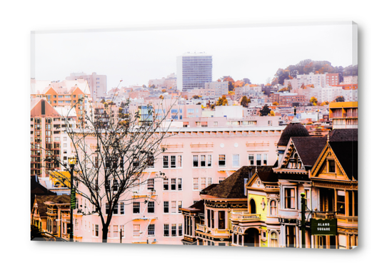 City view at Alamo Square, San Francisco, California, USA Acrylic prints by Timmy333