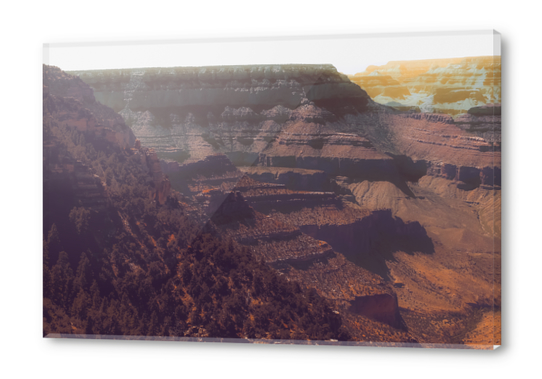 Desert scenery at Grand Canyon national park USA Acrylic prints by Timmy333