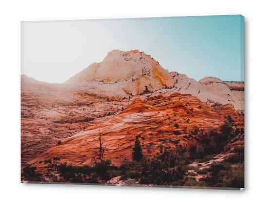 Mountain view at Zion national park Utah USA Acrylic prints by Timmy333