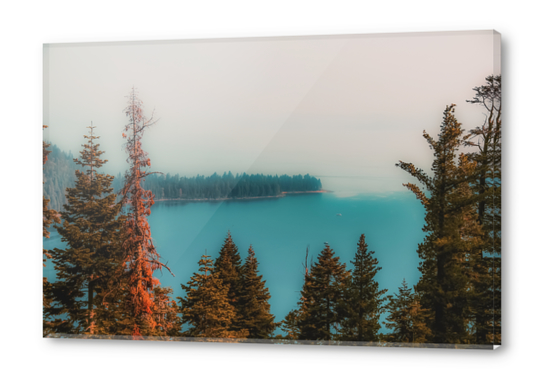 pine tree and lake at Emerald Bay Lake Tahoe California USA Acrylic prints by Timmy333