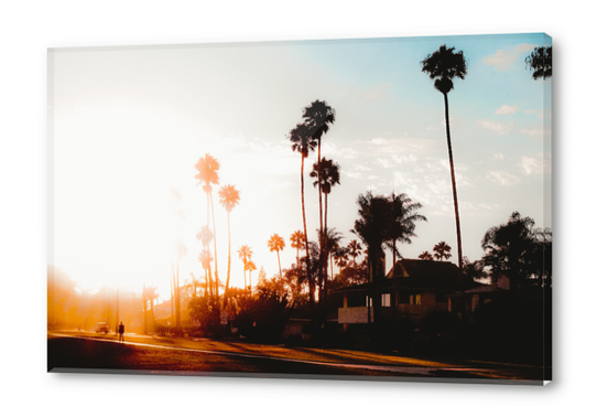 summer sunset sky with palm tree view in California USA Acrylic prints by Timmy333