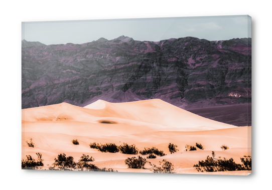 sand desert with mountain background at Death Valley national park California USA Acrylic prints by Timmy333