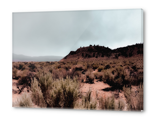 Desert view with foggy blue sky in California USA Acrylic prints by Timmy333