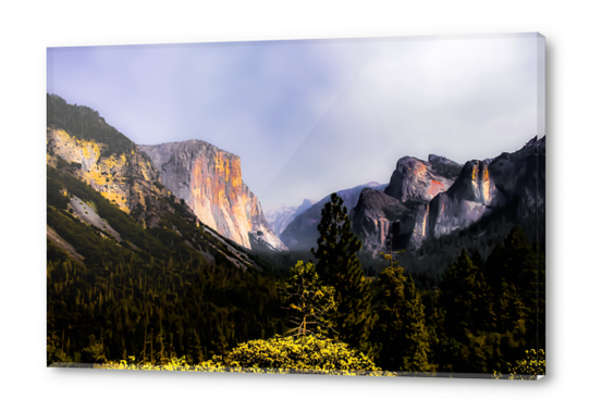 Mountains with blue sky in the forest at Yosemite national park, California, USA Acrylic prints by Timmy333