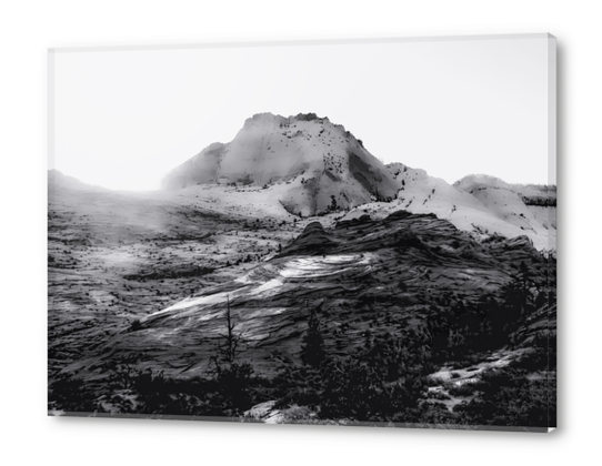 Mountain at Zion national park, Utah in black and white Acrylic prints by Timmy333