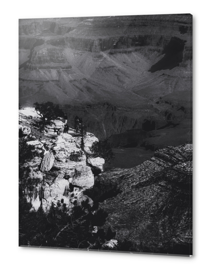 Desert scenic at Grand Canyon national park, Arizona, USA in black and white Acrylic prints by Timmy333