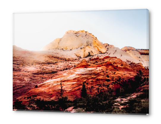 Mountain view in the forest at Zion national park, Utah, USA Acrylic prints by Timmy333