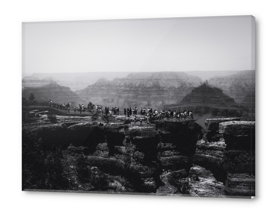 desert view at Grand Canyon national park Arizona USA in black and white Acrylic prints by Timmy333