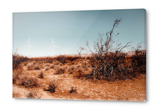 Desert and wind turbine with blue sky at Kern County California USA Acrylic prints by Timmy333