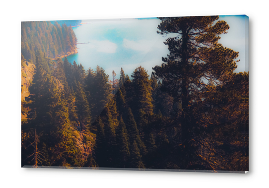 Lake and pine tree at Emerald Bay Lake Tahoe California USA Acrylic prints by Timmy333