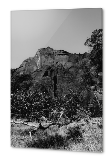 mountain in the forest at Zion national park Utah USA in black and white Acrylic prints by Timmy333